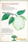 Fruit - Apple Mutsu (Crispin)