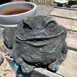 Hardgoods Concrete Fat Frog
