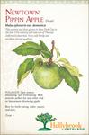 Fruit - Apple Newton Pippin
